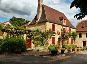 Saint-Leon-Sur-Vézère house