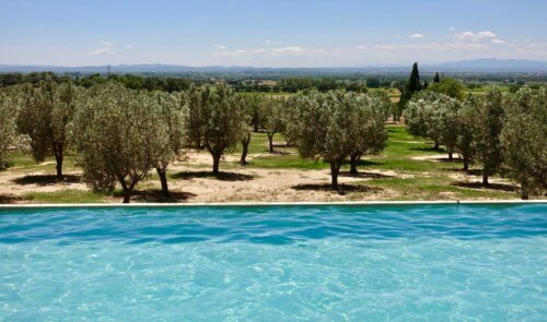 Hotel Mas Lazuli pool olive trees