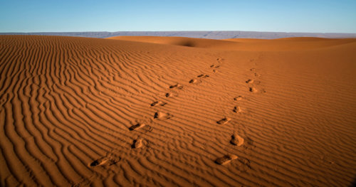 Dar Ahlam tent camp footprints in sand